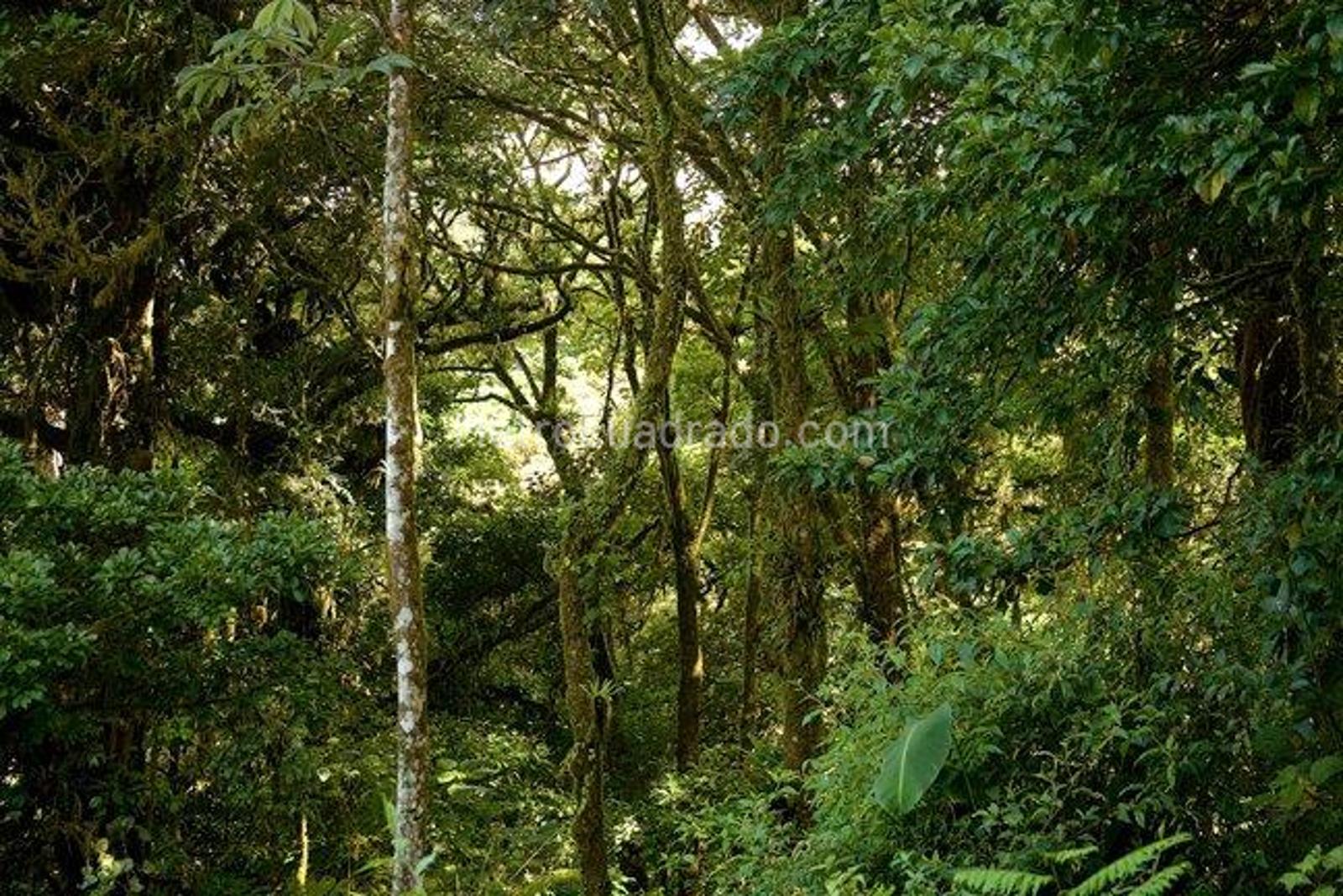 Casa en Venta  COLINAS DE SUBA