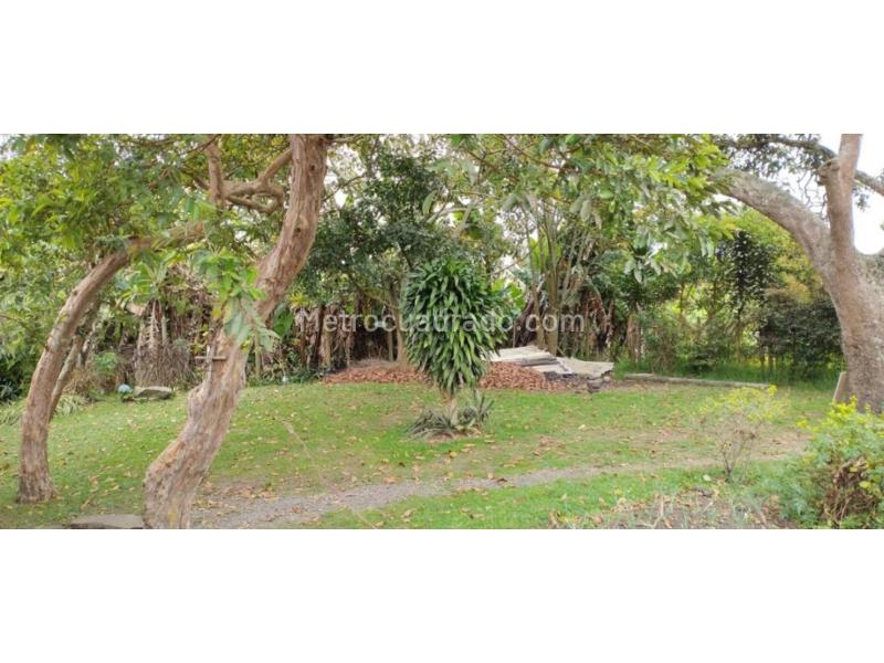 Lote en Venta, San Antonio De Pereira, Rionegro - Vista 4