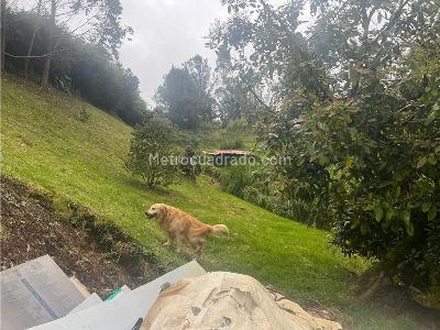 Casa en venta en Alto De Las Palmas, Envigado · foto 12 de 20