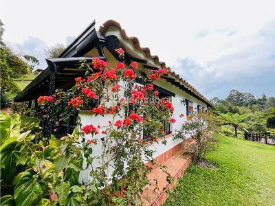 Casa de 3 alcobas en venta en Vereda Las Cuchillas, Rionegro · foto 3 de 20