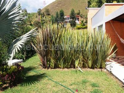Casa en venta en Condina, Pereira · foto 17 de 19