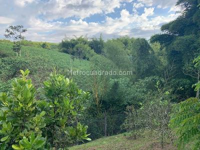 Casa en venta en Via Armenia, Pereira · foto 19 de 19