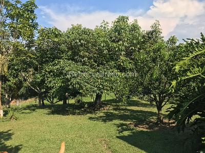 Casa en venta en Cerritos, Pereira · foto 4 de 20