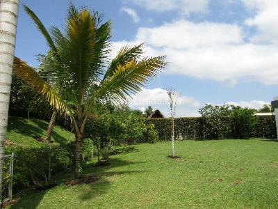 Casa en venta en Pueblito Cafetero, Pereira · foto 8 de 19