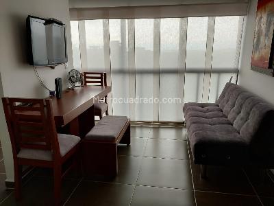 Apartamento de 1 alcoba en arriendo en Alamos, Pereira, 40 m² · foto 4 de 7