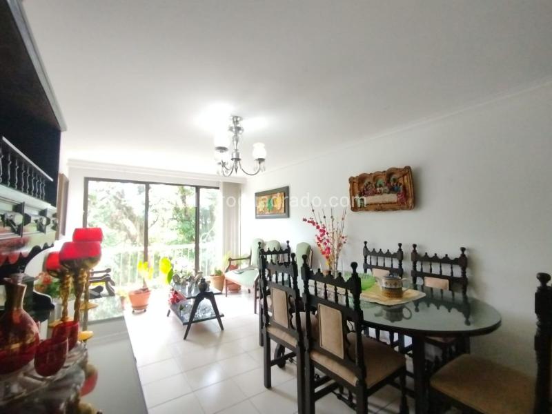 Piso – Pereira - Vista 3