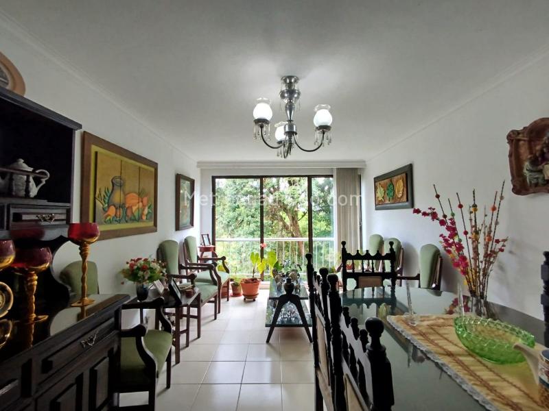 Piso – Pereira - Vista 4