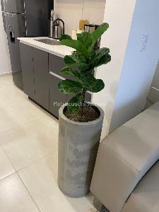 Apartaestudio en venta en Cerritos, Pereira · foto 5 de 7