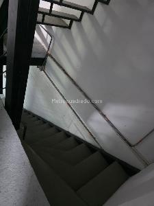 Casa de 4 alcobas en arriendo en 30 De Agosto, Pereira, 402 m² · foto 6 de 14