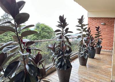 Apartamento de 4 alcobas en venta en Los Rosales Reservado, Bogotá, 300 m² · foto 19 de 19