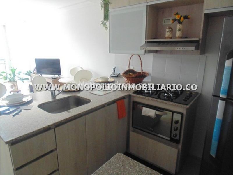 Cozy 1BR Apartment in Belen Loma de los Bernal - 7