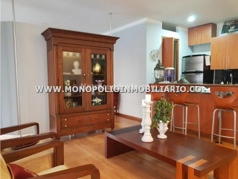 Beautiful Furnished Studio Apartment in Santa Maria De Los Angeles - 7