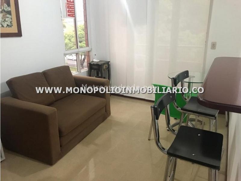 Charming 1BR Apartment in Patio Bonito