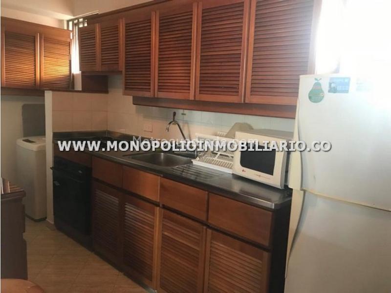 Furnished 1BR Apartment with 2 Baths in La Mota - 8