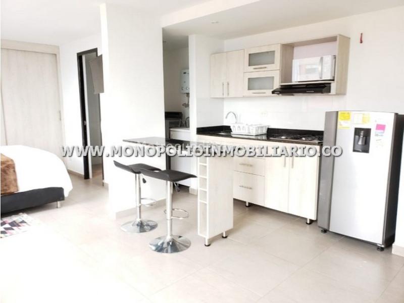 Beautiful 1BR Studio in El Tesoro - 2