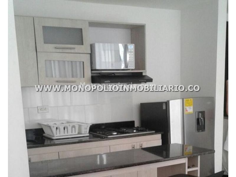 Beautiful 1BR Studio in El Tesoro - 8