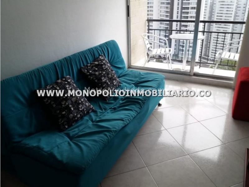 Bright 2BR Apartment in Loma Del Indio