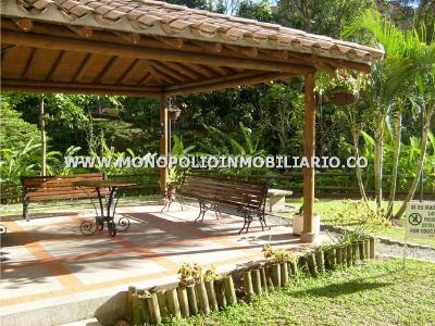 Apartamento de 3 alcobas en arriendo en Loma De San Julian, Medellín, 60 m² · foto 9 de 15