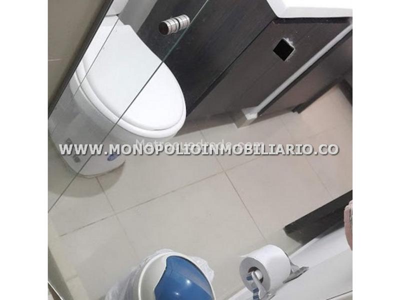 Furnished 1BR Studio for Rent in Los Alpes, Belún (15 m²) - 3