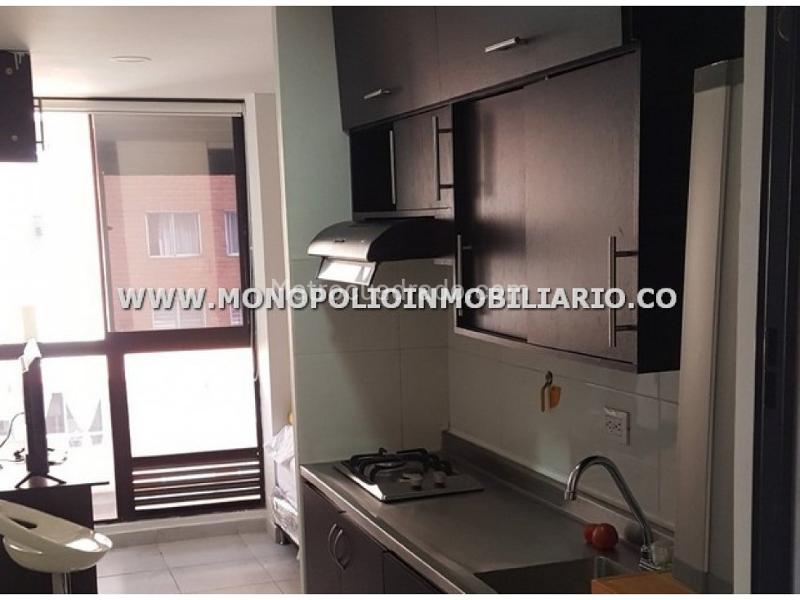 Furnished 1BR Loft Apartment for Rent in Los Alpes