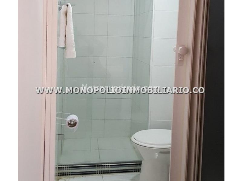 Furnished 1BR Loft Apartment for Rent in Los Alpes - 3