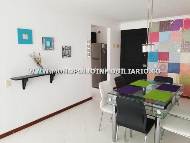 Cozy 2BR Apartment in Los Balsos - 7