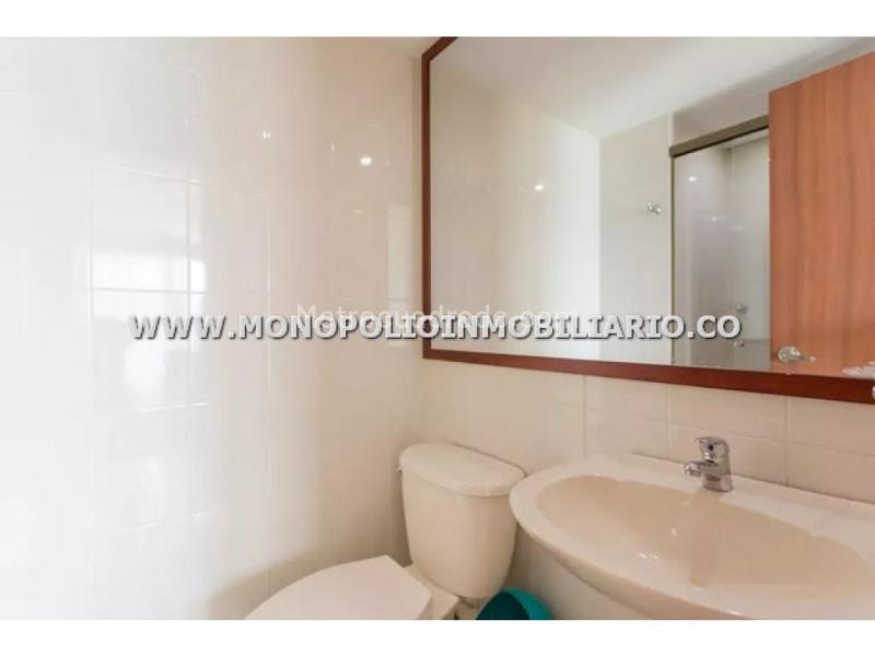 Stylish 1BR Apartment in El Tesoro - 5