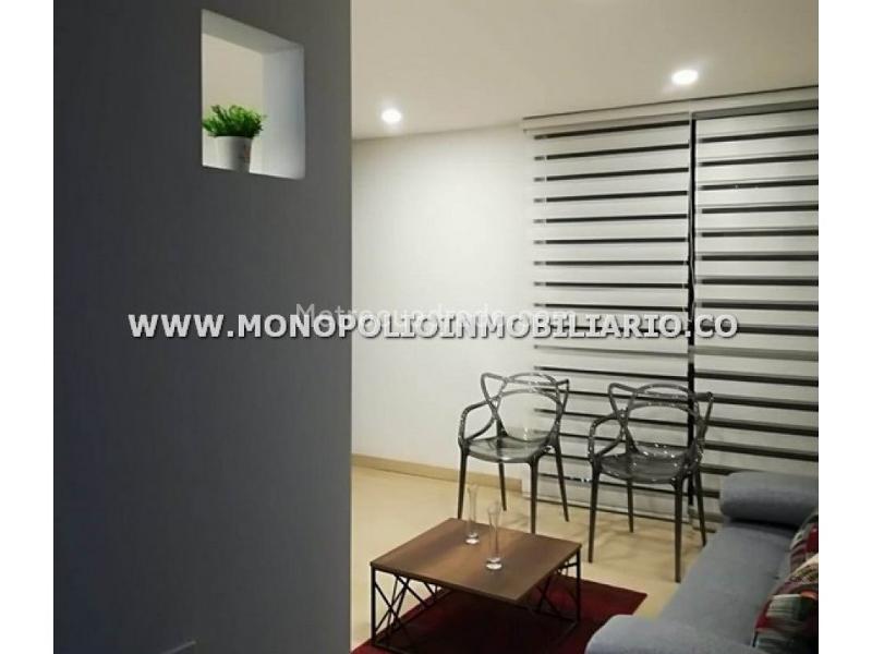 Charming 1BR Studio in El Tesoro - 8