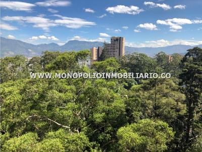 Apartamento de 1 alcoba en arriendo en Los Balsos, Medellín, 105 m² · foto 10 de 11