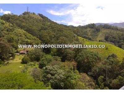 Apartamento de 3 alcobas en venta en El Trapiche, Sabaneta, 90 m² · foto 14 de 19