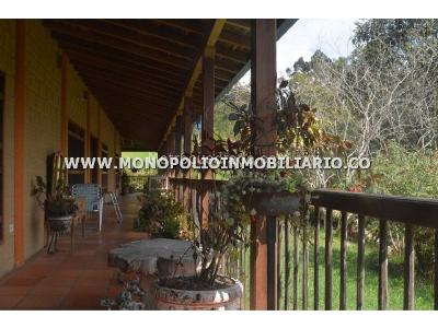 Casa de 4 alcobas en arriendo en Pantanillo, Envigado, 420 m² · foto 8 de 17