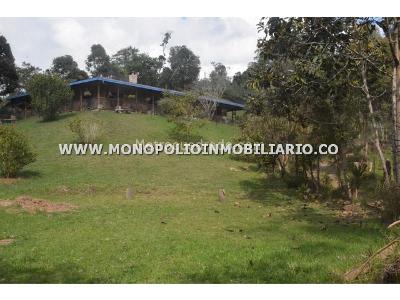 Casa de 4 alcobas en arriendo en Pantanillo, Envigado, 420 m² · foto 11 de 17