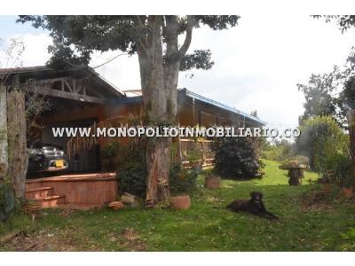 Casa de 4 alcobas en arriendo en Pantanillo, Envigado, 420 m² · foto 15 de 17