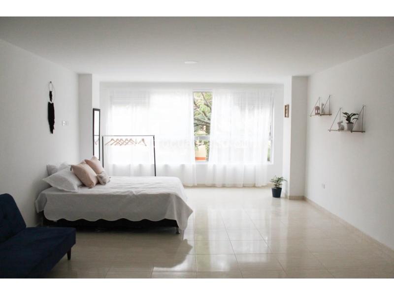 Ideal 1BR Loft in Los Alpes