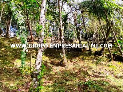 Casa de 5 alcobas en venta en Envigado, Envigado, 400 m² · foto 17 de 20