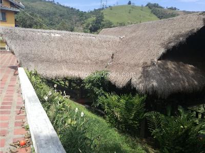 Casa de 5 alcobas en venta en Rodeo Alto, Medellín · foto 12 de 13