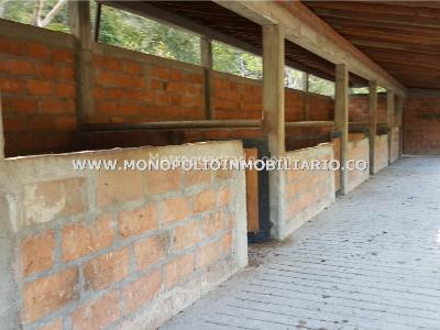 Casa de 3 alcobas en venta en Santa Fe, Medellín, 600 m² · foto 5 de 11