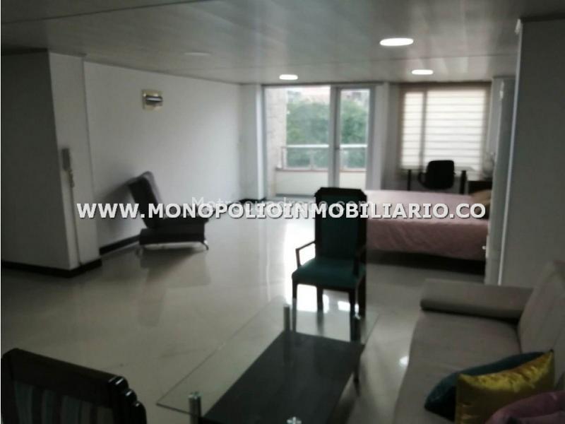 Loft Amoblado de 1 Alcoba en Alquiler en La Castellana - 3