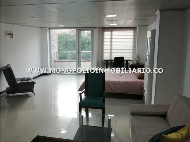 Loft Amoblado de 1 Alcoba en Alquiler en La Castellana - 4