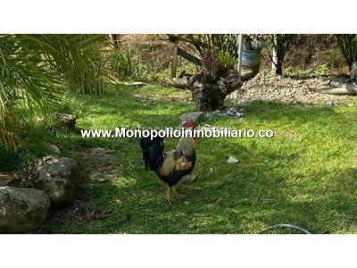Casa de 5 alcobas en venta en San Antonio De Prado, Medellín · foto 15 de 16