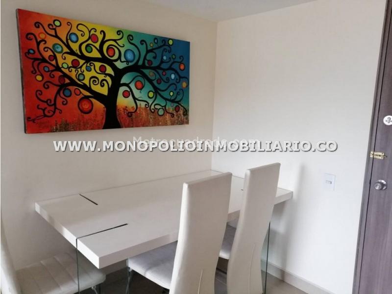 Furnished 2BR Apartment with Balcony in Los Colores - 2
