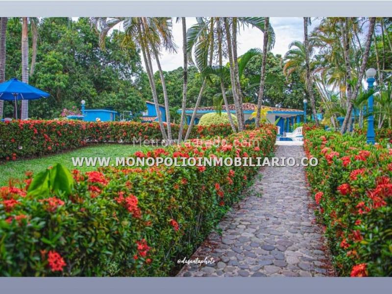 Apartamento en Arriendo, El Parque, Santa Fé de Antioquia - 3