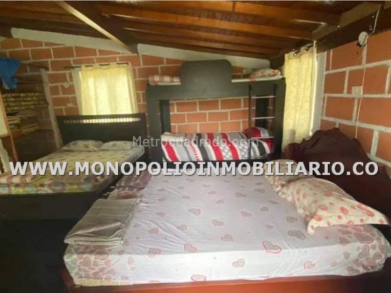 Apartamento en Arriendo, Llano De Bolivar, Santa Fé de Antioquia - 3