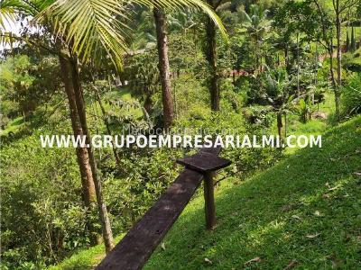 Casa de 5 alcobas en venta en El Romeral, Sabaneta · foto 18 de 20