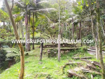 Casa de 5 alcobas en venta en El Romeral, Sabaneta · foto 19 de 20