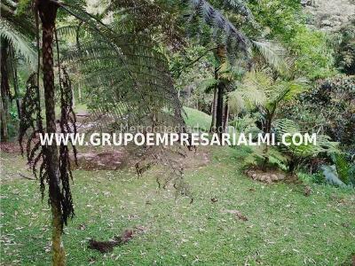 Casa de 5 alcobas en venta en El Romeral, Sabaneta · foto 20 de 20