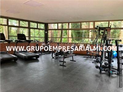 Apartaestudio en arriendo en Los Balsos, Medellín, 300 m² · foto 13 de 18