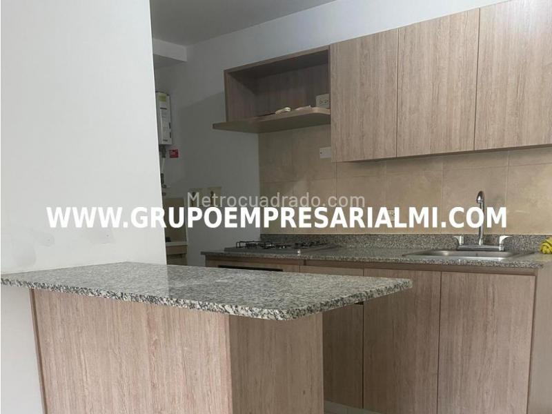 Spectacular 2BR Apartment in Ciudad del Río - 9