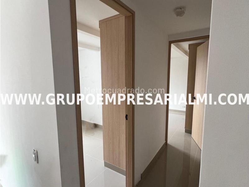 Cozy 2BR Apartment for Rent in Primavera - 5