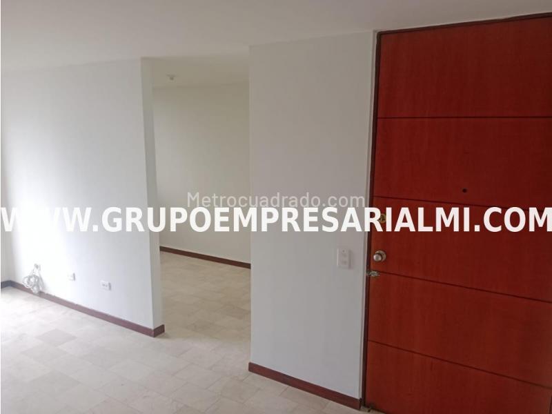 Modern 3BR Apartment in El Tesoro - 4